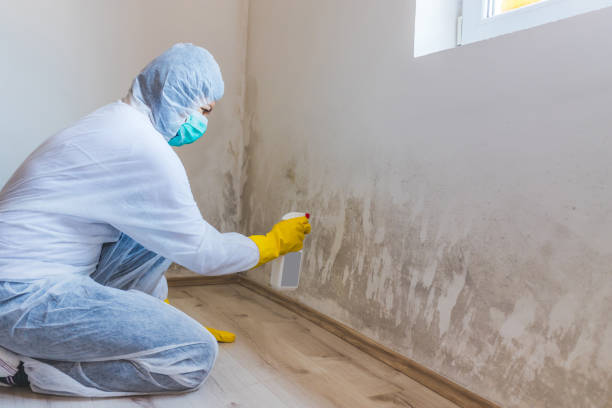 Mold inspector in Glenwood performing thermal imaging
